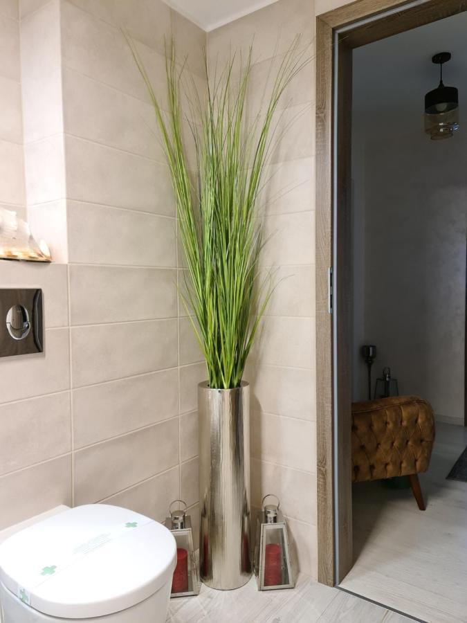 Apartment Alonisos Lux Brašov Exteriér fotografie